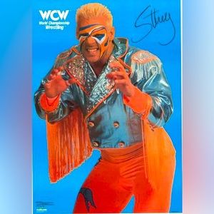 Vintage 1991 WCW officially licensed Sting poster